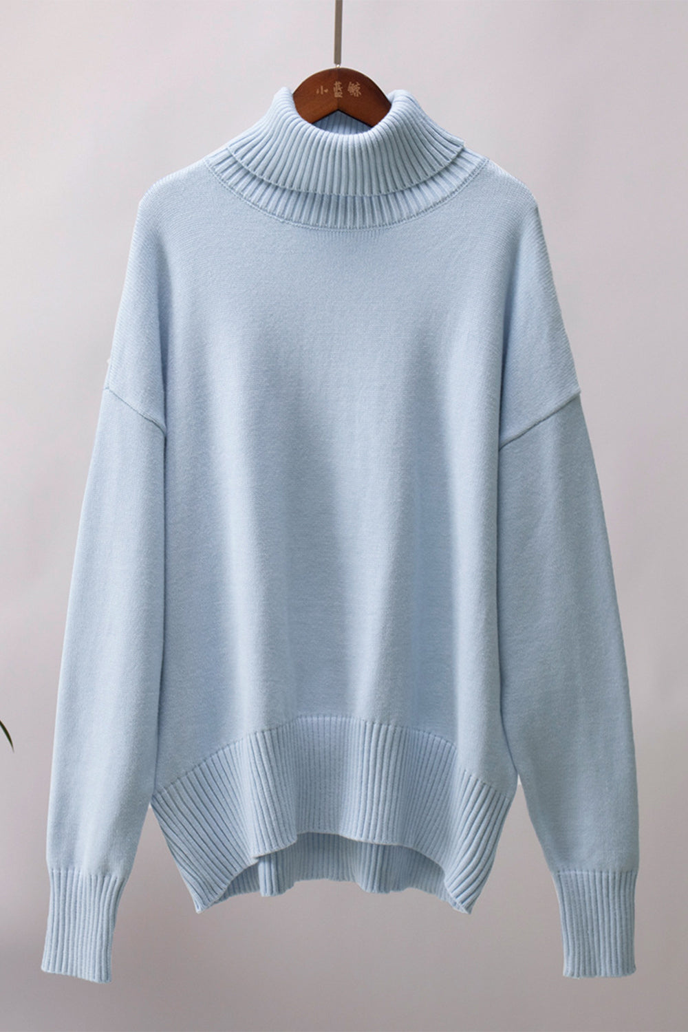 Ordinary Turtleneck Sweater