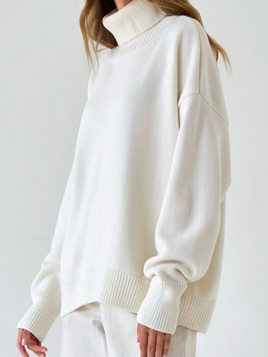 Ordinary Turtleneck Sweater