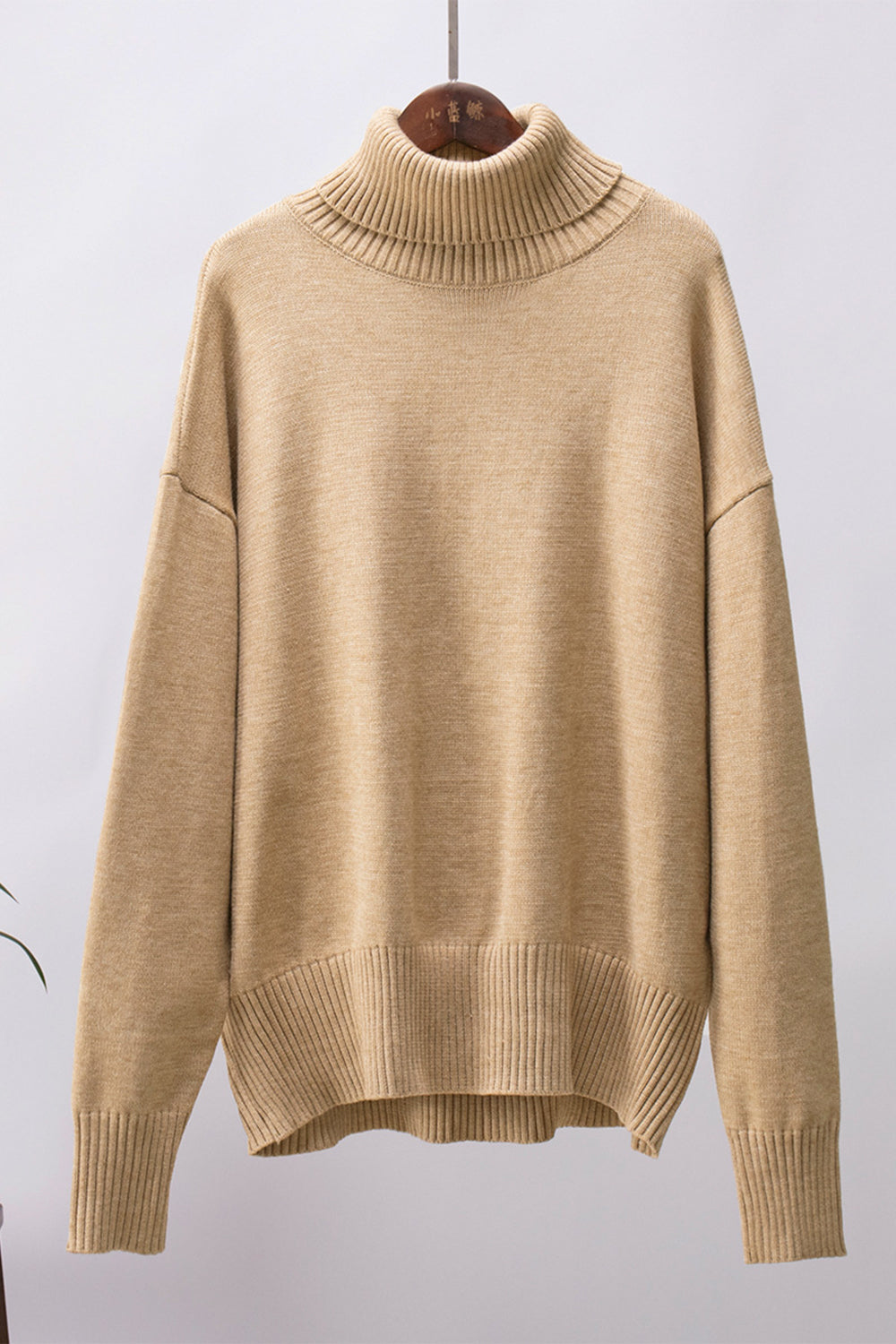 Ordinary Turtleneck Sweater