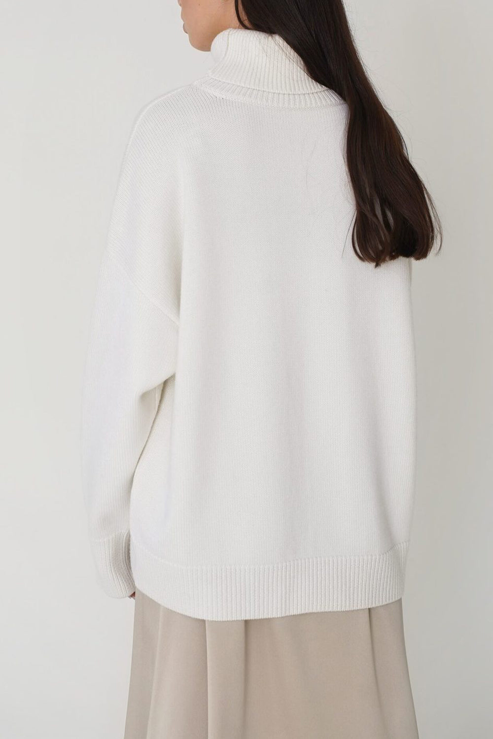 Ordinary Turtleneck Sweater