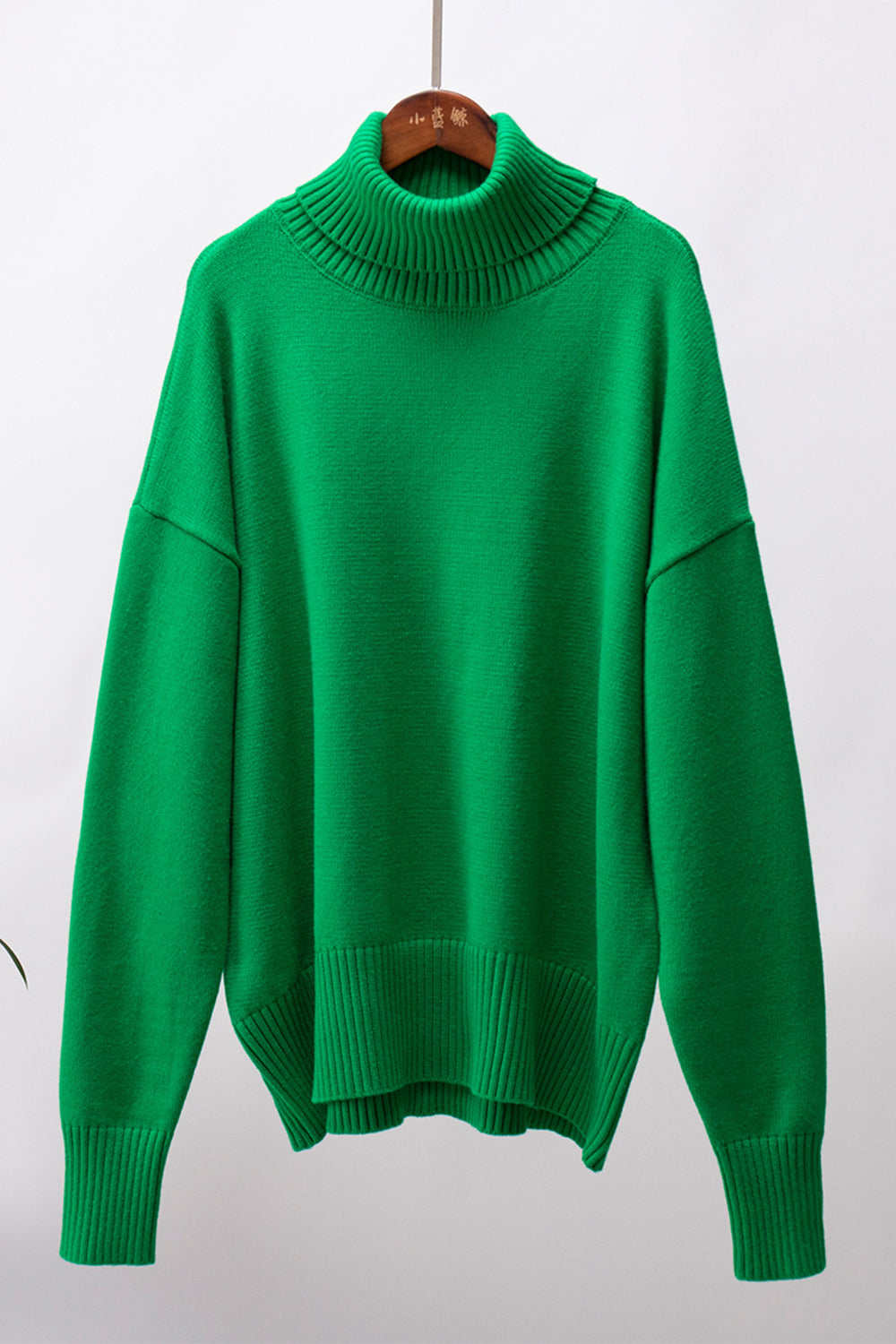 Ordinary Turtleneck Sweater