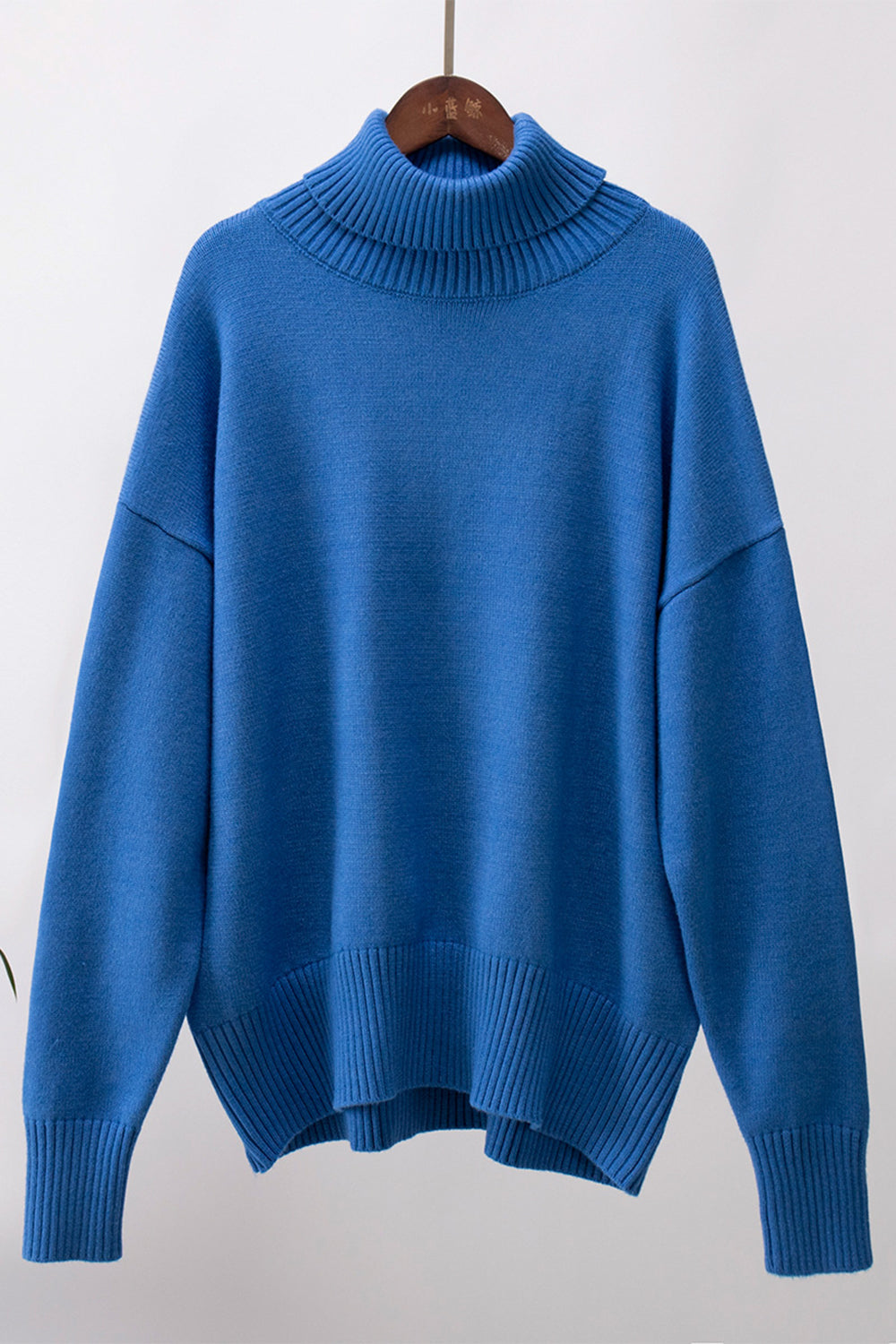 Ordinary Turtleneck Sweater