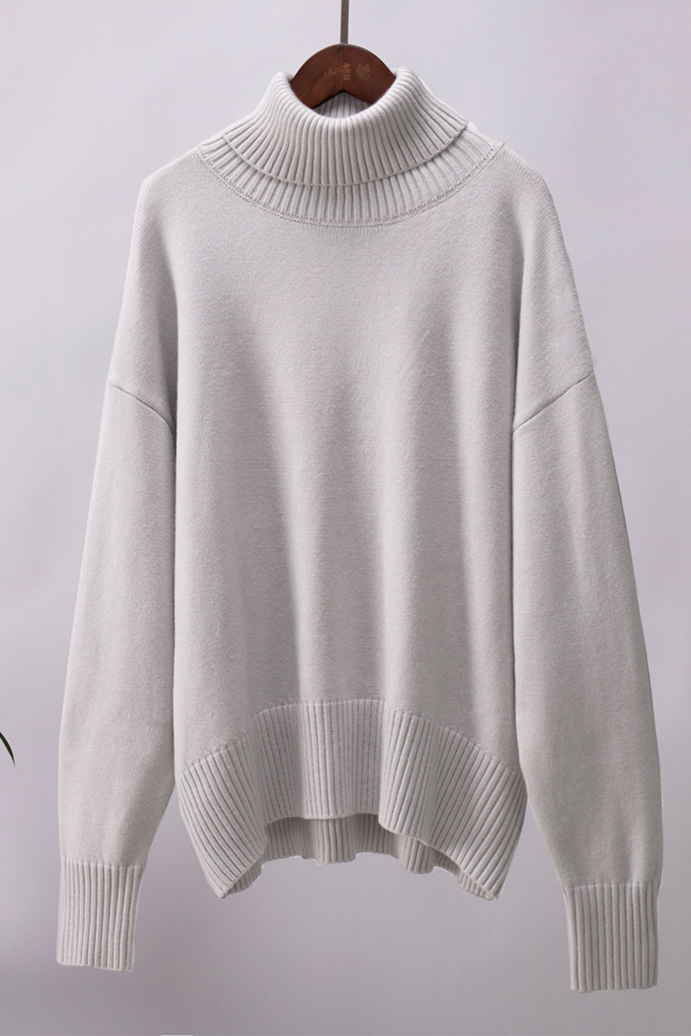 Ordinary Turtleneck Sweater